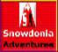 Snowdonia Adventures